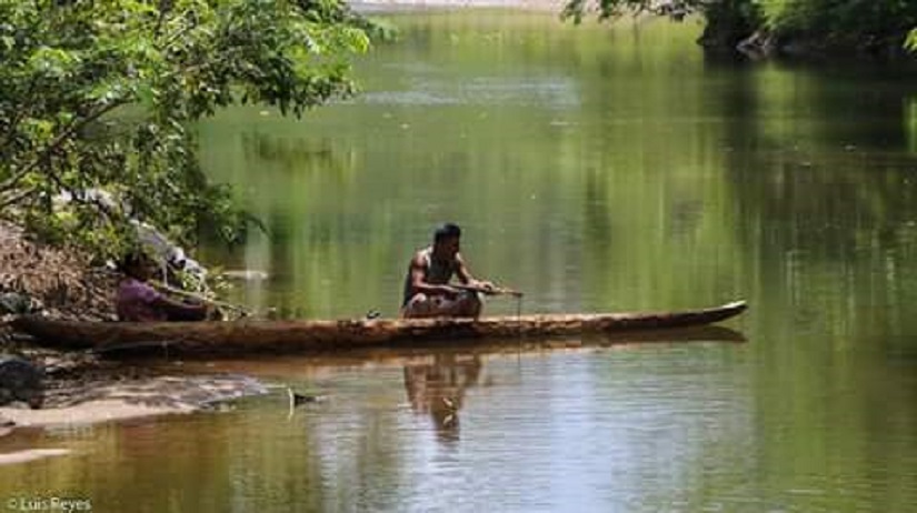 SIUNA1